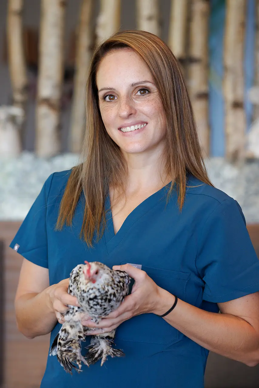 Drautalvet Team Mag. med. vet. Sabrina Scheiflinger Drautalvet Team Mag. med. vet. Sabrina Scheiflinger